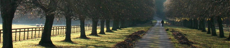 BAŚKA-KOP